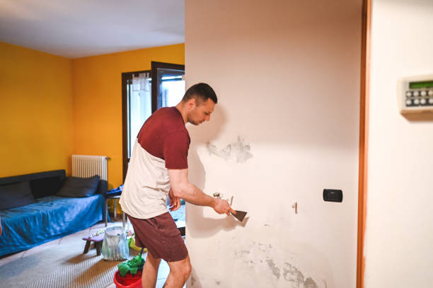Best Mold Damage Repair  in Summer Set, MO